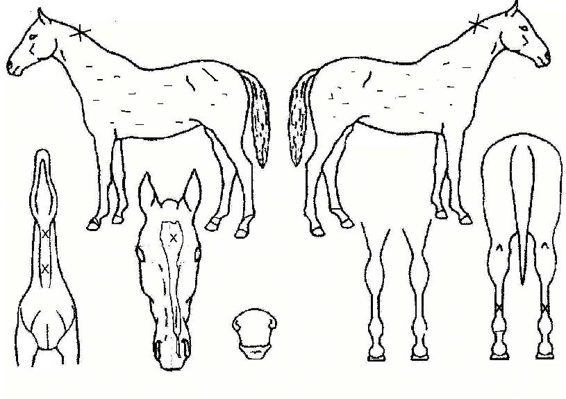 ´ë°Ë»êÀÇ Ãø¸é,¿ì¸é,µÞ¸é,µÎ»ó,´Ù¸®ÀÇ Æ¯Â¡µµÇØ