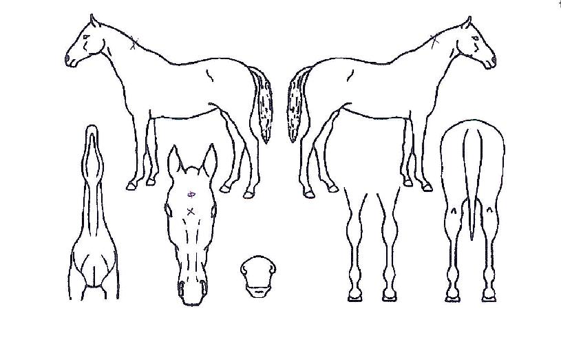 ��ũ���������� ����,���,�޸�,�λ�,�ٸ��� Ư¡����