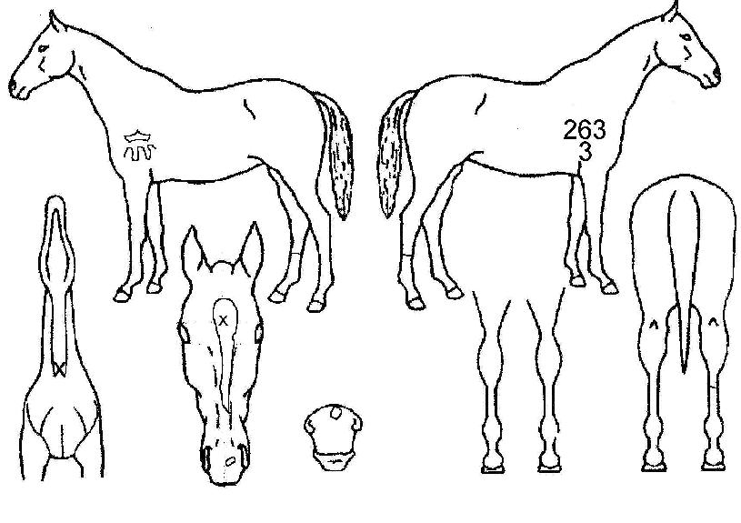 �����Ͽ콺�� ����,���,�޸�,�λ�,�ٸ��� Ư¡����