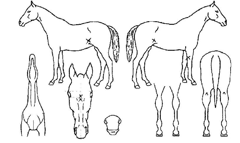 ȭ���� ����,���,�޸�,�λ�,�ٸ��� Ư¡����