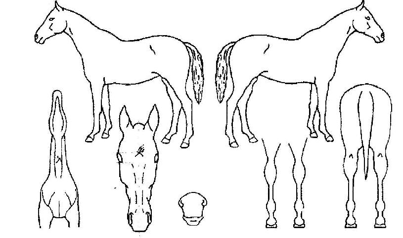 �����̽��� ����,���,�޸�,�λ�,�ٸ��� Ư¡����