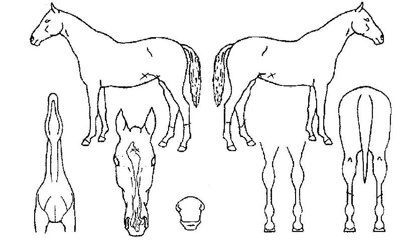 ����ȭ�� ����,���,�޸�,�λ�,�ٸ��� Ư¡����