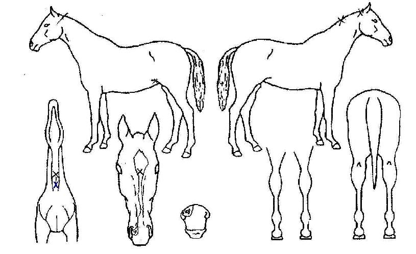 ��Ű�� ����,���,�޸�,�λ�,�ٸ��� Ư¡����