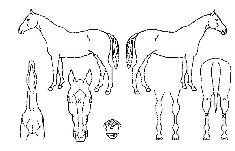 ���̽��� ����,���,�޸�,�λ�,�ٸ��� Ư¡����