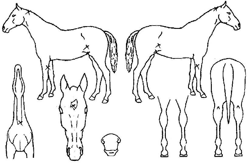 ������ũ�� ����,���,�޸�,�λ�,�ٸ��� Ư¡����