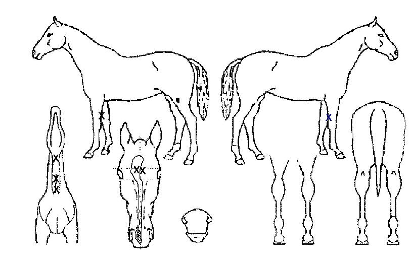 ����� ����,���,�޸�,�λ�,�ٸ��� Ư¡����