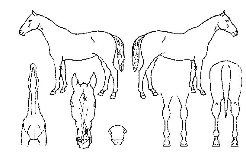 ��������� ����,���,�޸�,�λ�,�ٸ��� Ư¡����