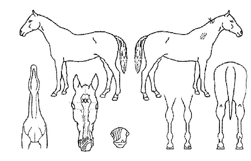 ��������ġ�� ����,���,�޸�,�λ�,�ٸ��� Ư¡����