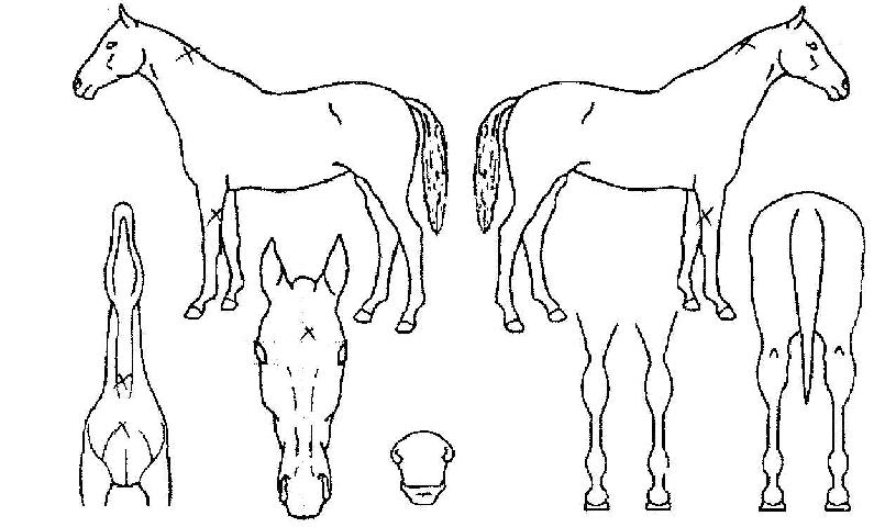 ȰȲ�ô��� ����,���,�޸�,�λ�,�ٸ��� Ư¡����