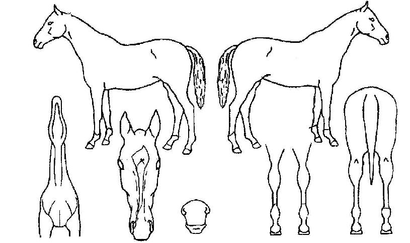 ȭ��������� ����,���,�޸�,�λ�,�ٸ��� Ư¡����