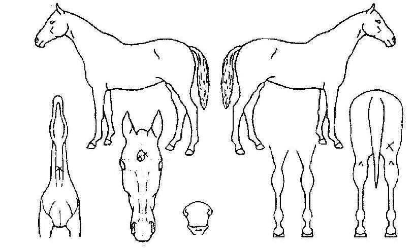 ��â�� ����,���,�޸�,�λ�,�ٸ��� Ư¡����