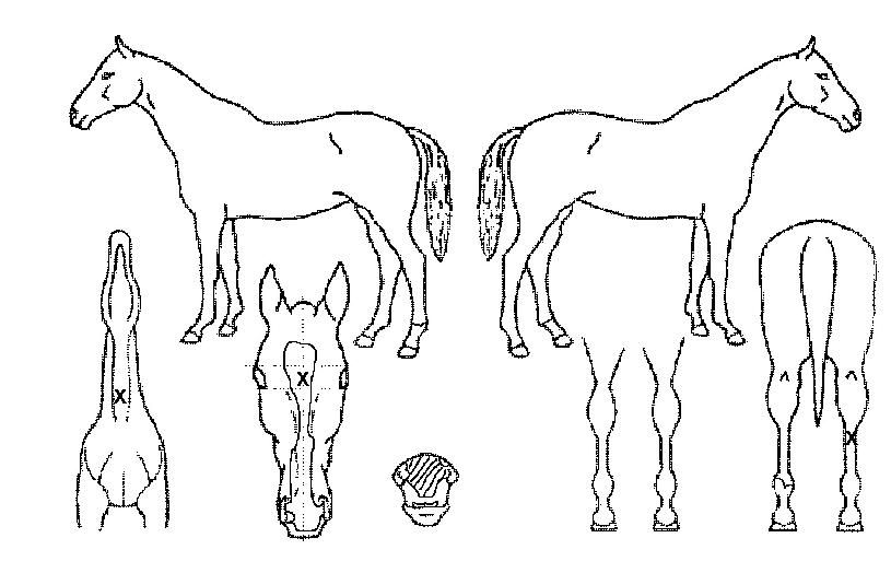 �������� ����,���,�޸�,�λ�,�ٸ��� Ư¡����