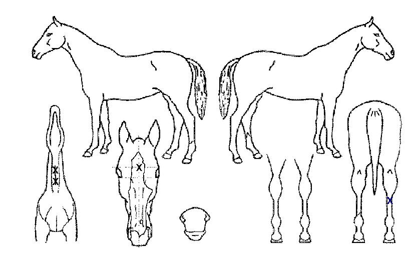 ���������� ����,���,�޸�,�λ�,�ٸ��� Ư¡����