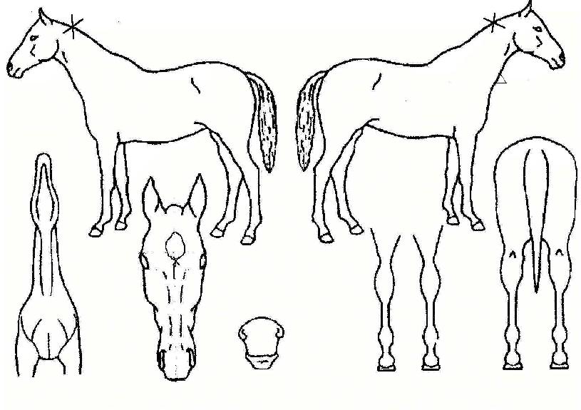 �ڹ�Ʈ���̽��� ����,���,�޸�,�λ�,�ٸ��� Ư¡����