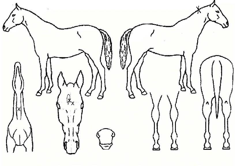 ����Ʈè�Ǿ��� ����,���,�޸�,�λ�,�ٸ��� Ư¡����