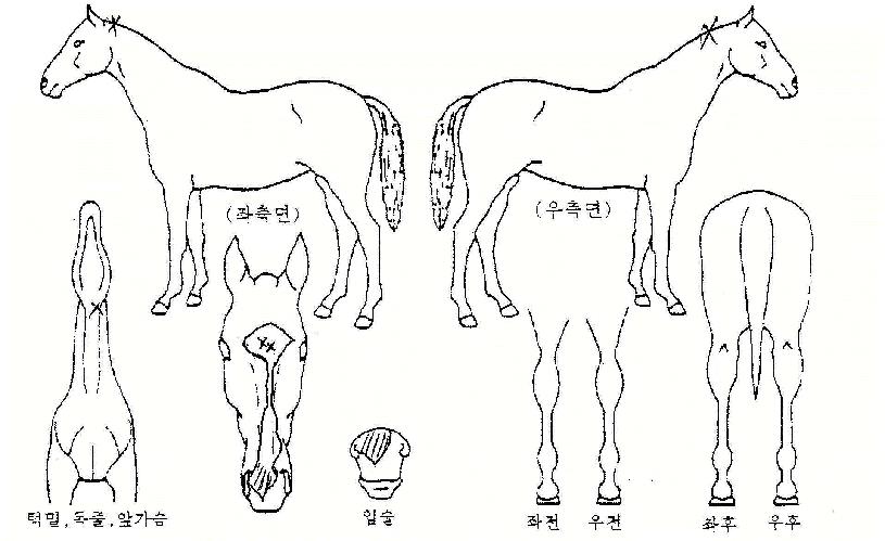 ³ÐÀº¼¼»óÀÇ Ãø¸é,¿ì¸é,µÞ¸é,µÎ»ó,´Ù¸®ÀÇ Æ¯Â¡µµÇØ