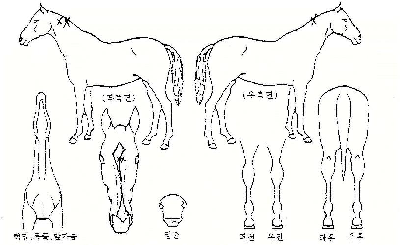 ���̺��� ����,���,�޸�,�λ�,�ٸ��� Ư¡����