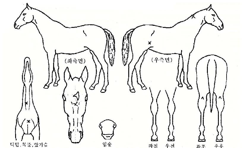 ������ũ�� ����,���,�޸�,�λ�,�ٸ��� Ư¡����