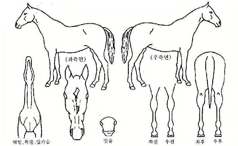 ��ũ����� ����,���,�޸�,�λ�,�ٸ��� Ư¡����