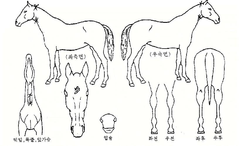 ���Դ������� ����,���,�޸�,�λ�,�ٸ��� Ư¡����