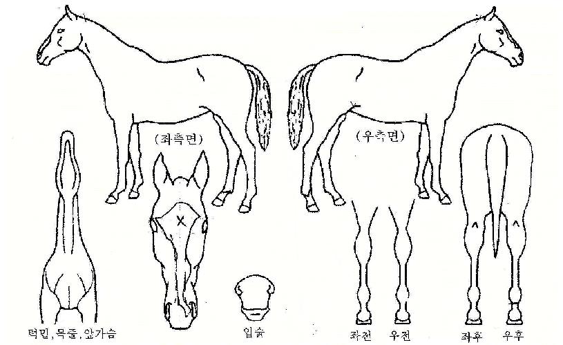 ��ջ��ٶ��� ����,���,�޸�,�λ�,�ٸ��� Ư¡����