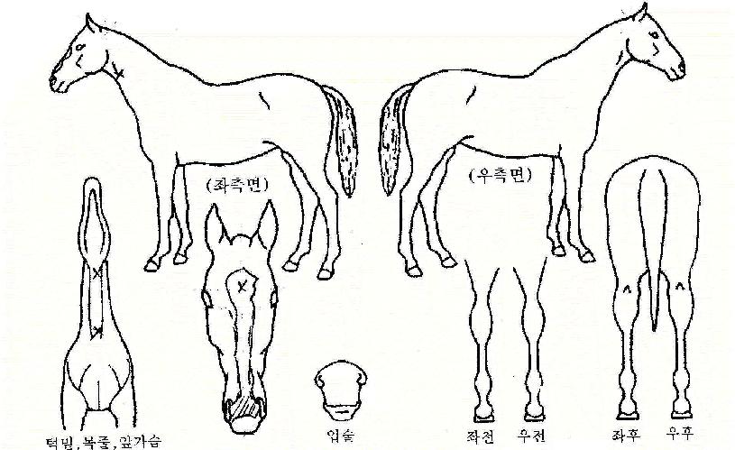 ��Ŭ������ ����,���,�޸�,�λ�,�ٸ��� Ư¡����