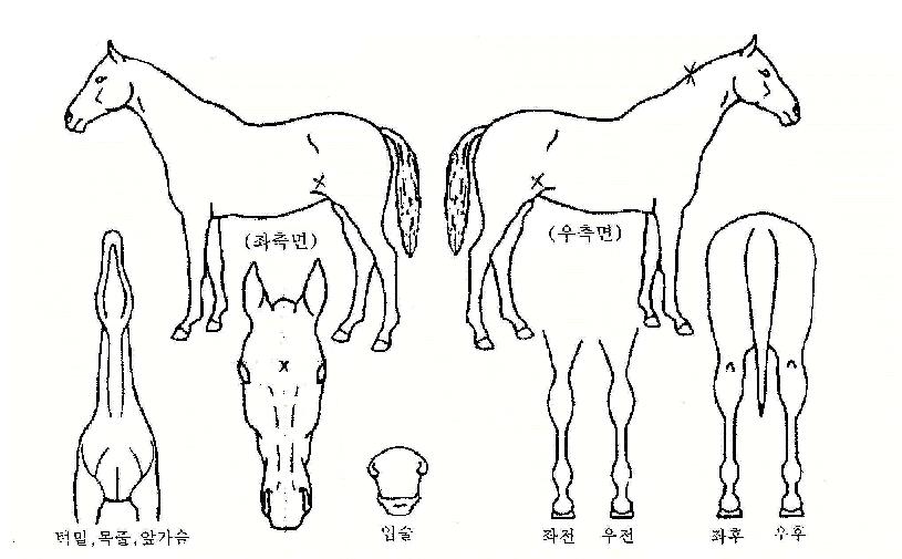 �������丮���� ����,���,�޸�,�λ�,�ٸ��� Ư¡����