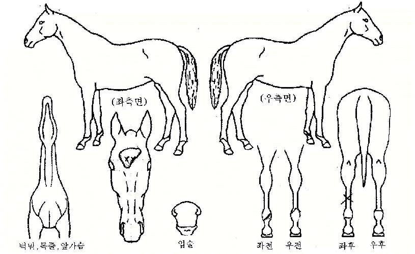 �ݺ������� ����,���,�޸�,�λ�,�ٸ��� Ư¡����