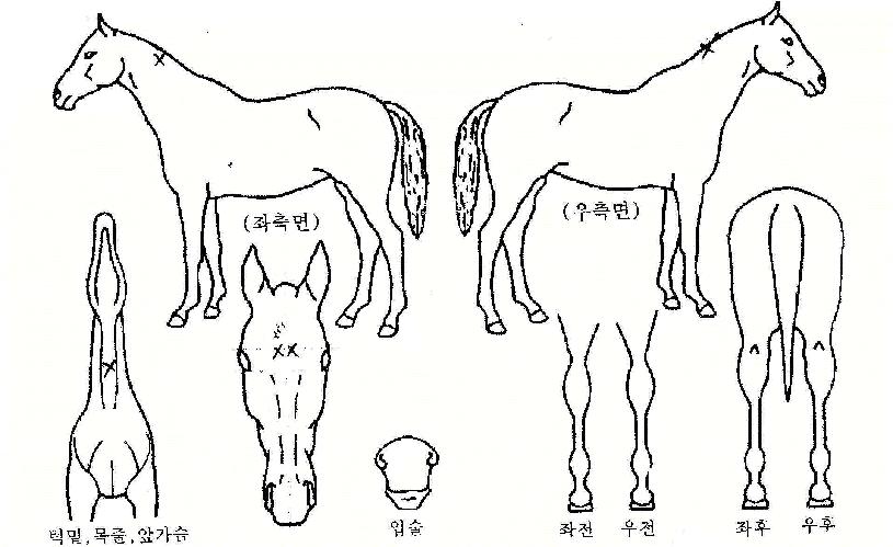 ����Ÿ���� ����,���,�޸�,�λ�,�ٸ��� Ư¡����