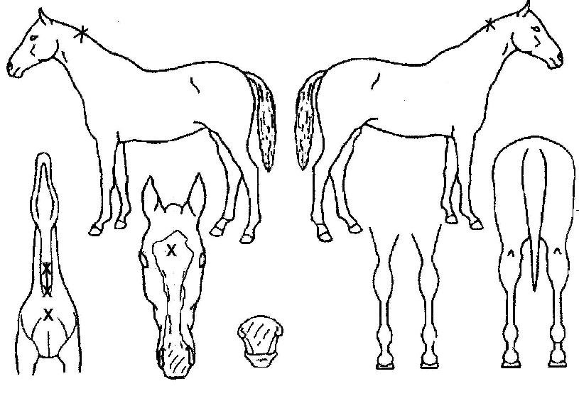 ȭ���Ѳ��� ����,���,�޸�,�λ�,�ٸ��� Ư¡����