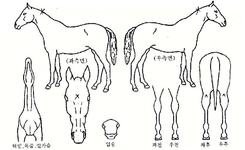 �ڿ��� ����,���,�޸�,�λ�,�ٸ��� Ư¡����