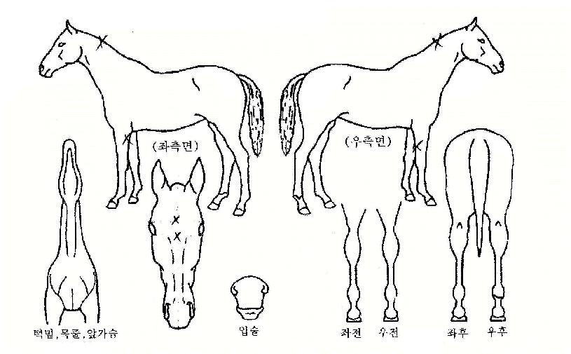 �Ҽ��� ����,���,�޸�,�λ�,�ٸ��� Ư¡����