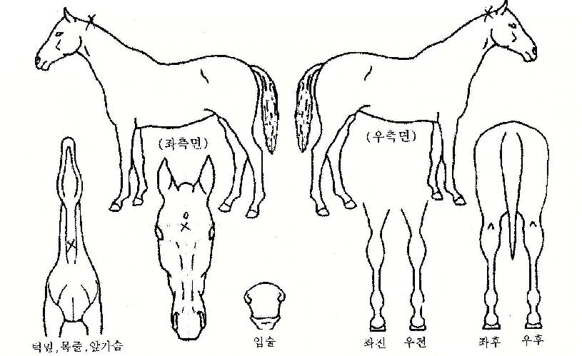 ��Ű������ ����,���,�޸�,�λ�,�ٸ��� Ư¡����