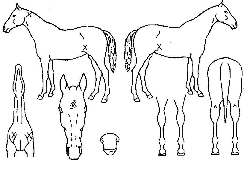 ���������� ����,���,�޸�,�λ�,�ٸ��� Ư¡����