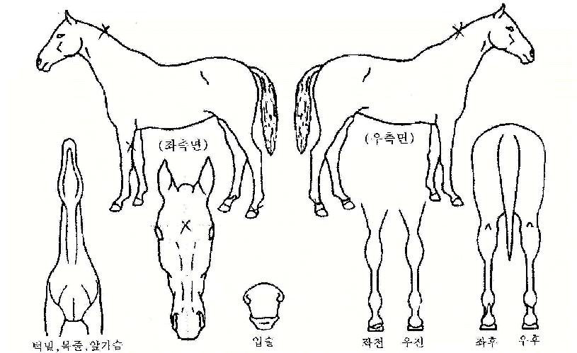 ���丮������ ����,���,�޸�,�λ�,�ٸ��� Ư¡����