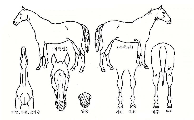 ���빫���� ����,���,�޸�,�λ�,�ٸ��� Ư¡����