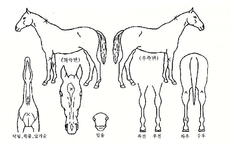 ������â�� ����,���,�޸�,�λ�,�ٸ��� Ư¡����