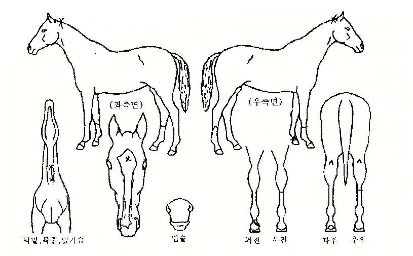 �÷���Ĺ�� ����,���,�޸�,�λ�,�ٸ��� Ư¡����