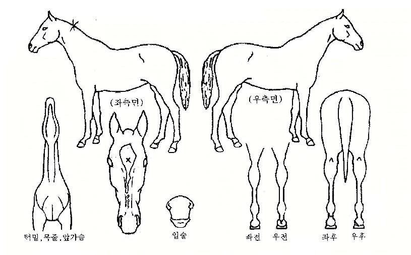 ���࿭���� ����,���,�޸�,�λ�,�ٸ��� Ư¡����