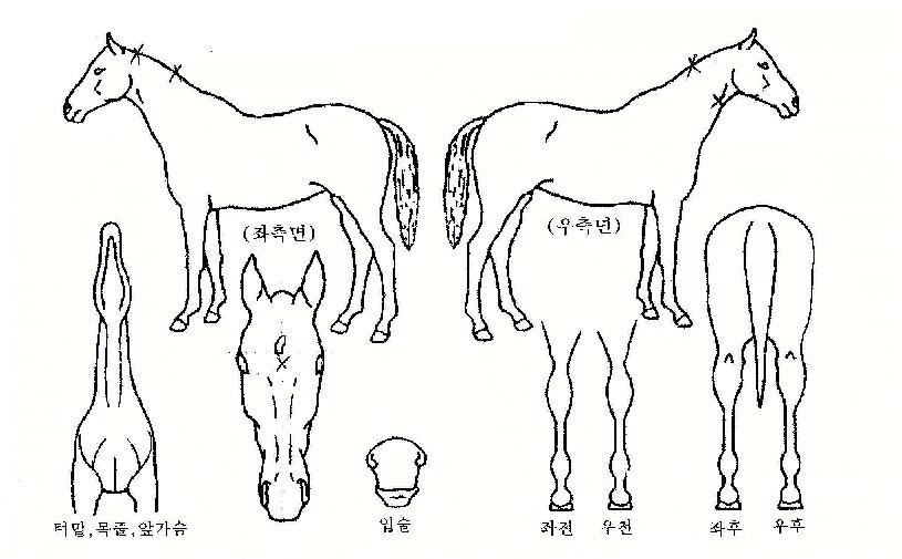 ���д����� ����,���,�޸�,�λ�,�ٸ��� Ư¡����