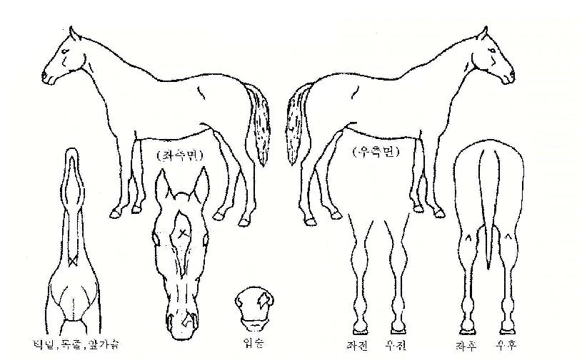 ¾Æ¾¾ÆÄÆ®ÀÇ Ãø¸é,¿ì¸é,µÞ¸é,µÎ»ó,´Ù¸®ÀÇ Æ¯Â¡µµÇØ