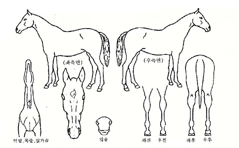 ����ȭ���� ����,���,�޸�,�λ�,�ٸ��� Ư¡����