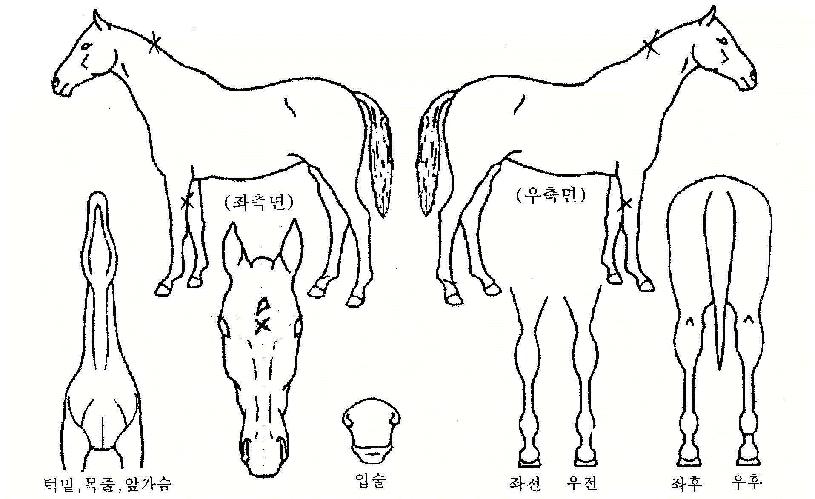 ����Ʈ������� ����,���,�޸�,�λ�,�ٸ��� Ư¡����