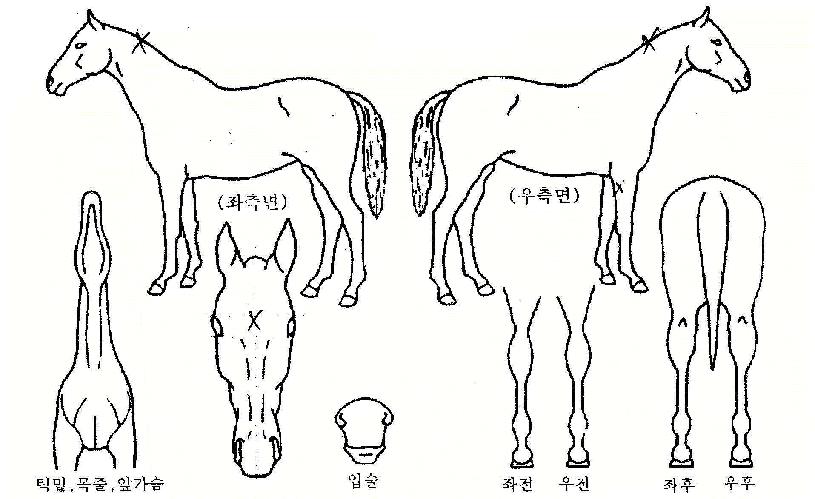 ���ٽ��� ����,���,�޸�,�λ�,�ٸ��� Ư¡����