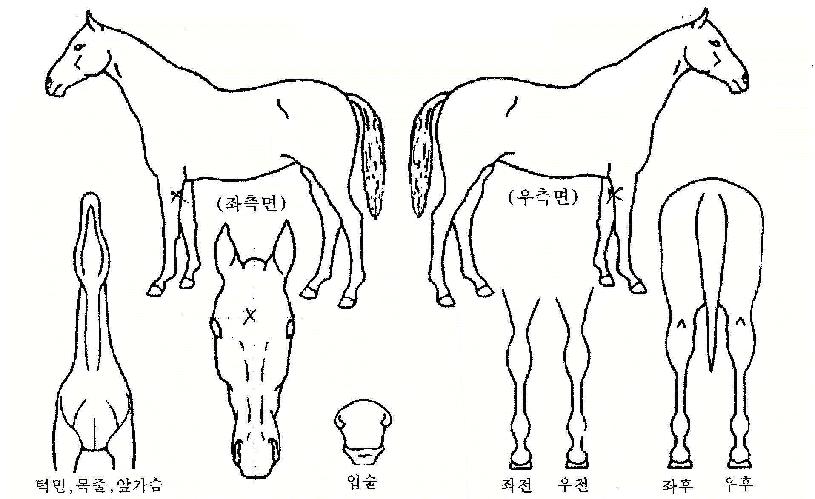 ���ݵ�Ŀ���� ����,���,�޸�,�λ�,�ٸ��� Ư¡����