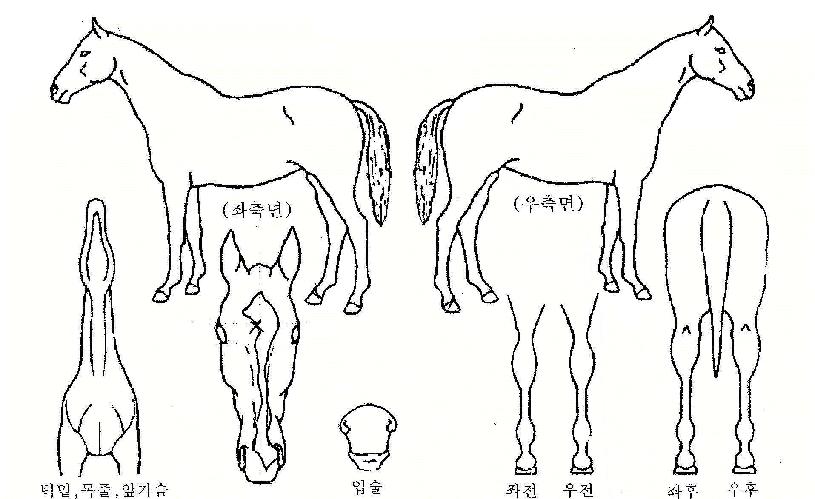 û������ ����,���,�޸�,�λ�,�ٸ��� Ư¡����