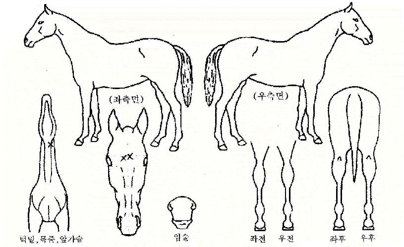 ¾ÆÆ®¸ðºôÀÇ Ãø¸é,¿ì¸é,µÞ¸é,µÎ»ó,´Ù¸®ÀÇ Æ¯Â¡µµÇØ