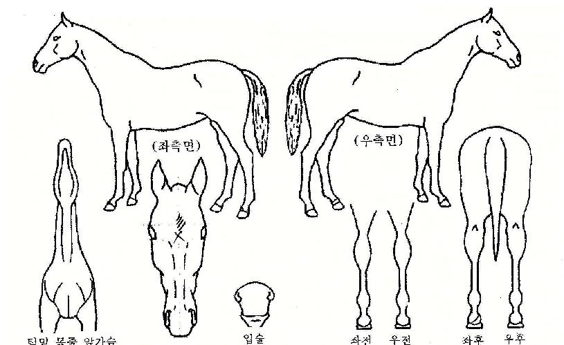 ��ũ���� ����,���,�޸�,�λ�,�ٸ��� Ư¡����