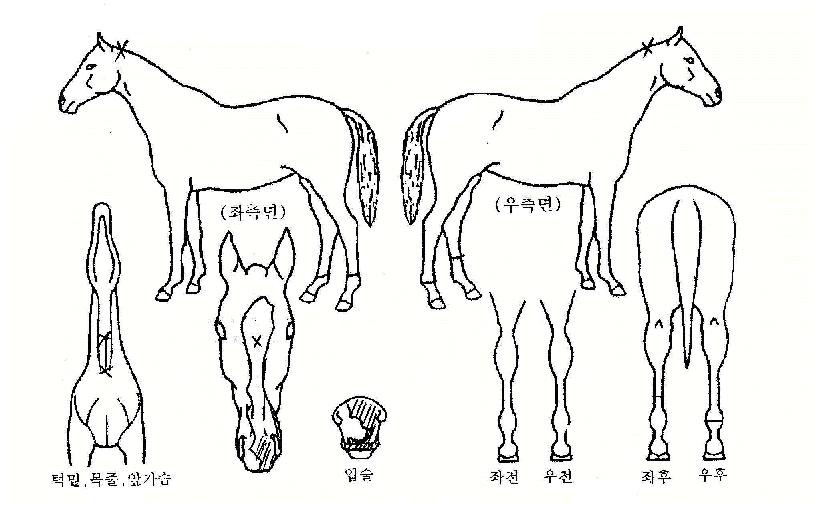 ����Ʈ������ ����,���,�޸�,�λ�,�ٸ��� Ư¡����