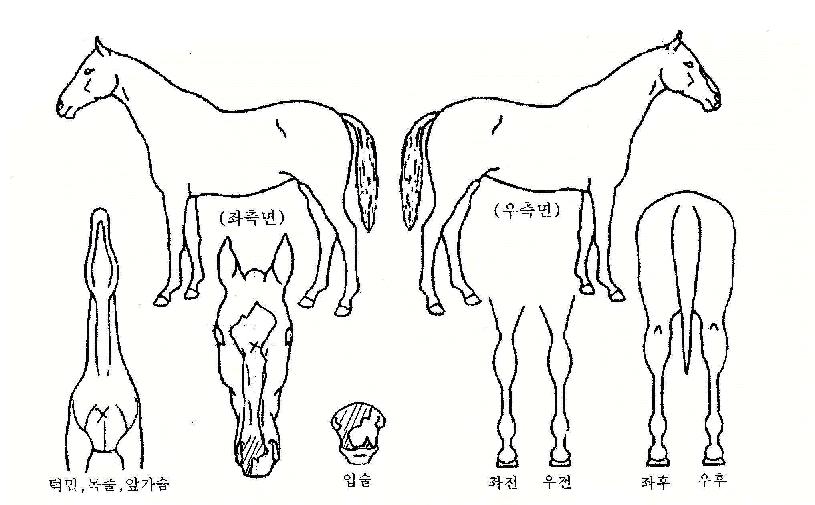 Ŭ������ ����,���,�޸�,�λ�,�ٸ��� Ư¡����